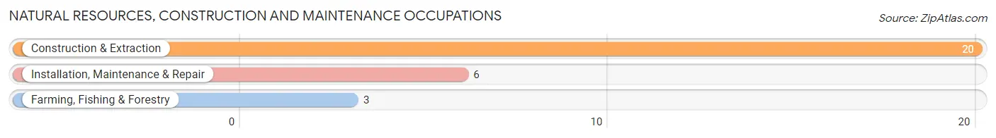 Natural Resources, Construction and Maintenance Occupations in Shickley