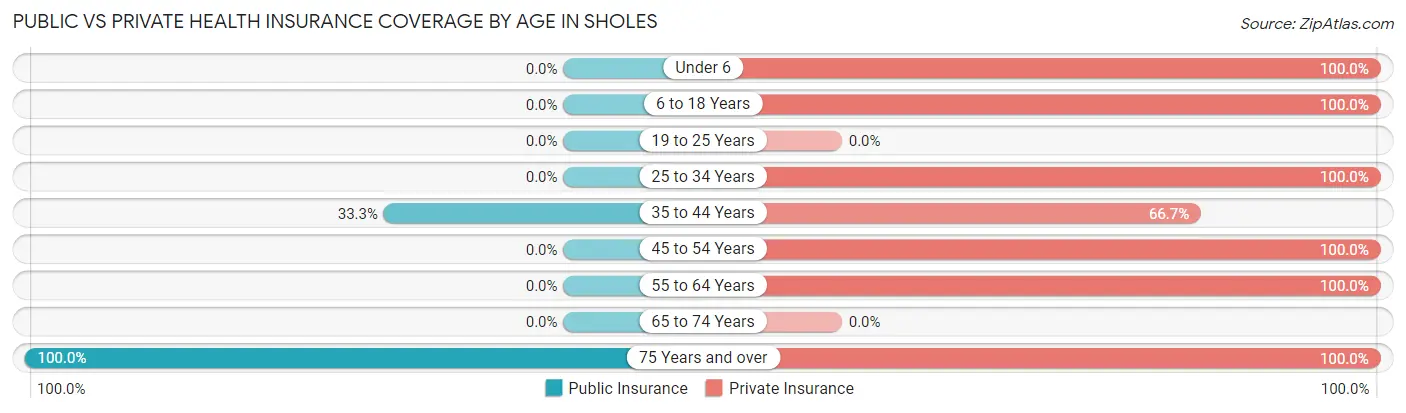 Public vs Private Health Insurance Coverage by Age in Sholes