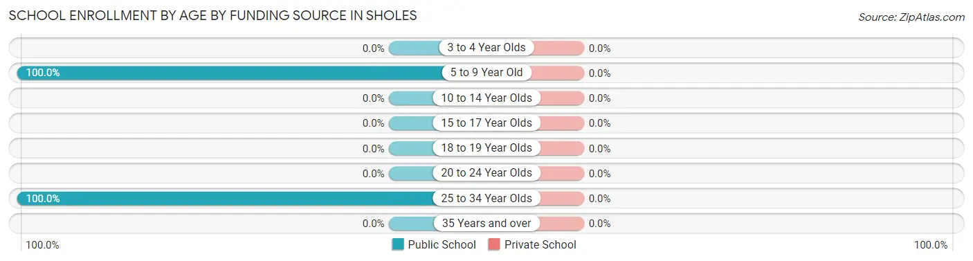 School Enrollment by Age by Funding Source in Sholes