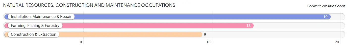 Natural Resources, Construction and Maintenance Occupations in Silver Creek