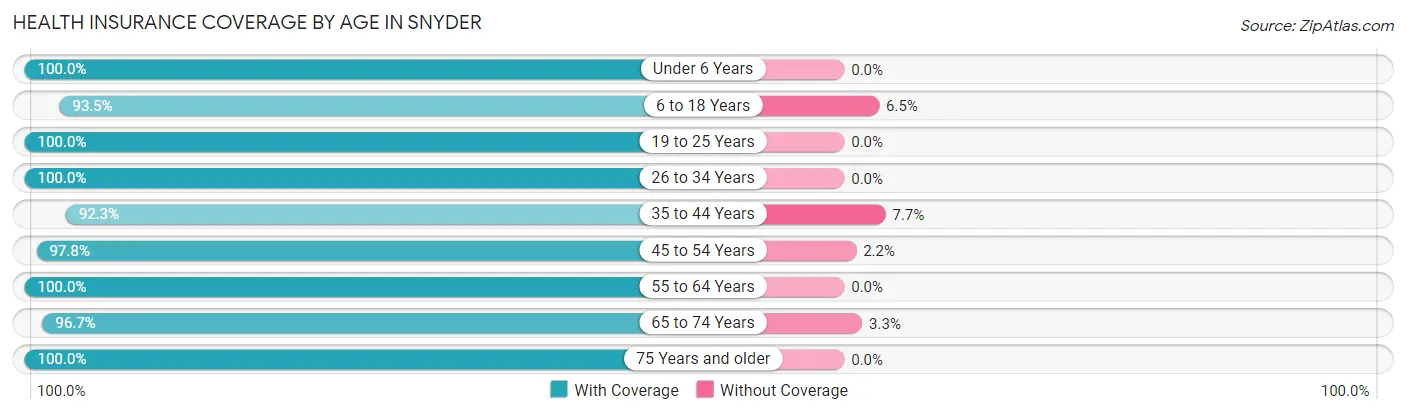 Health Insurance Coverage by Age in Snyder