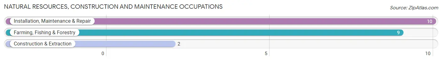 Natural Resources, Construction and Maintenance Occupations in Snyder