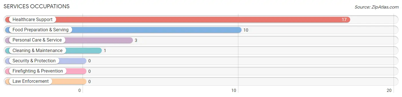 Services Occupations in Snyder