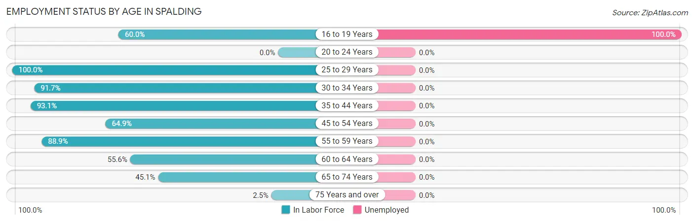 Employment Status by Age in Spalding