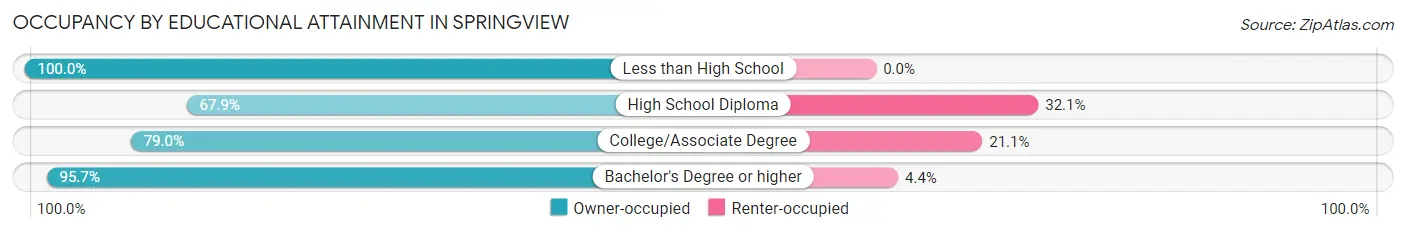 Occupancy by Educational Attainment in Springview