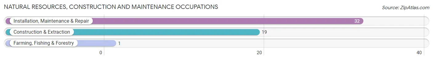 Natural Resources, Construction and Maintenance Occupations in St Edward