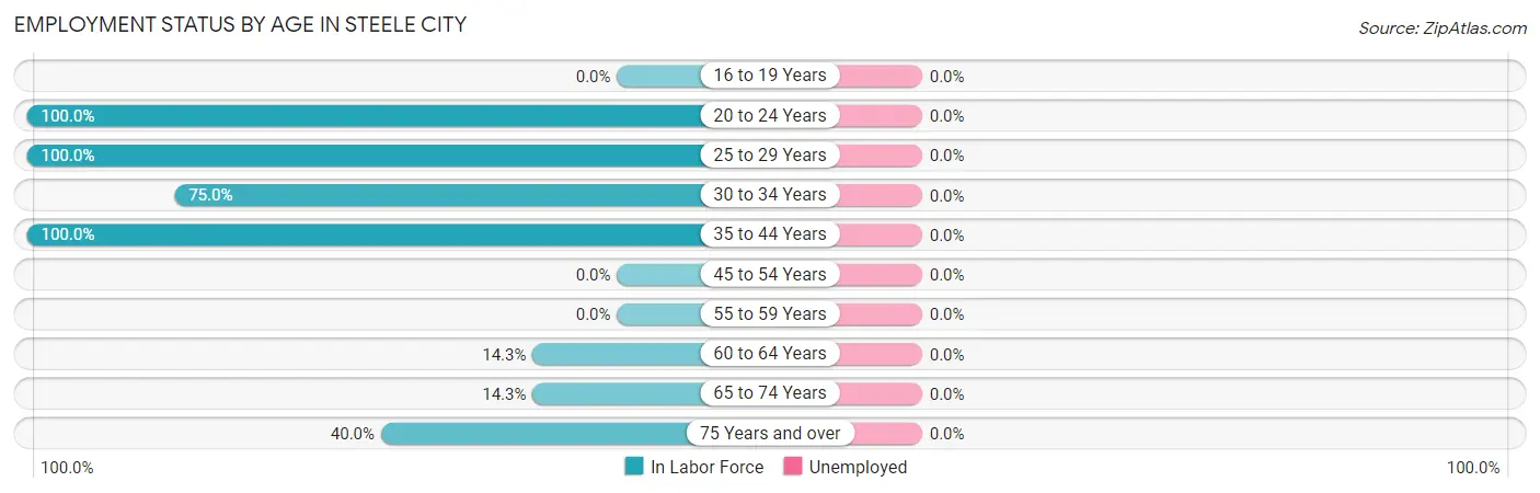 Employment Status by Age in Steele City