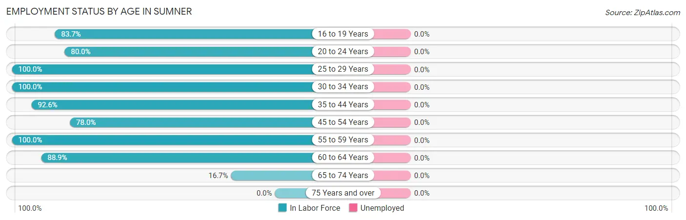 Employment Status by Age in Sumner