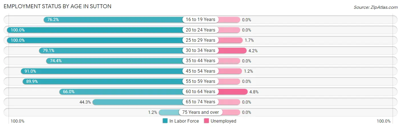 Employment Status by Age in Sutton