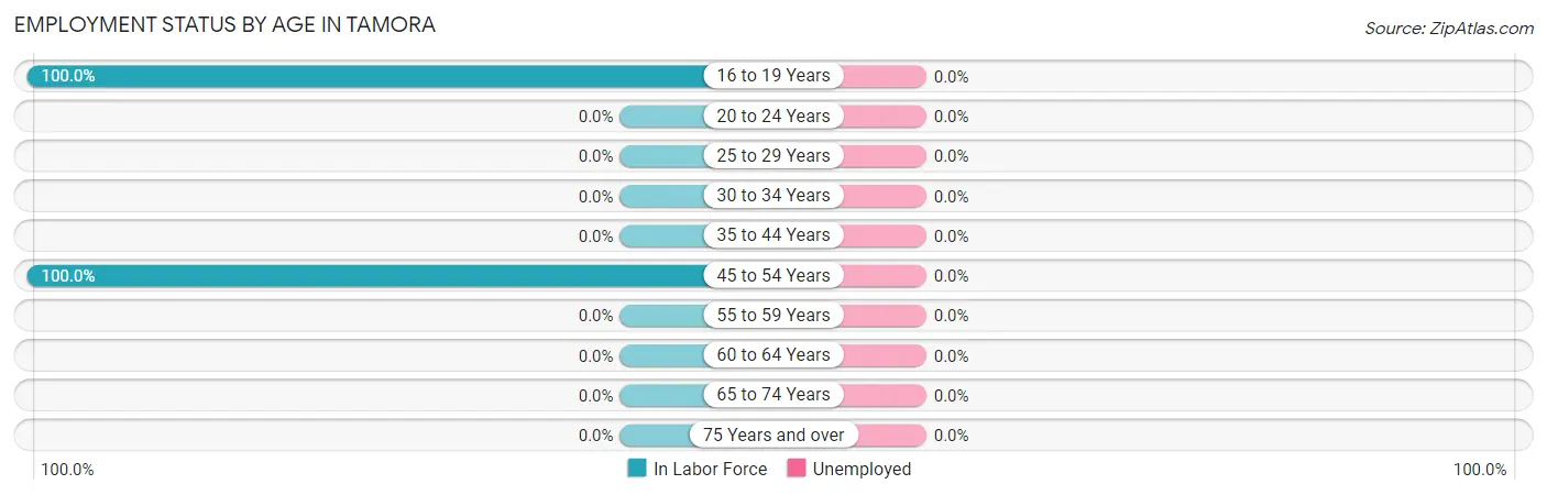 Employment Status by Age in Tamora