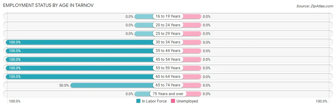 Employment Status by Age in Tarnov