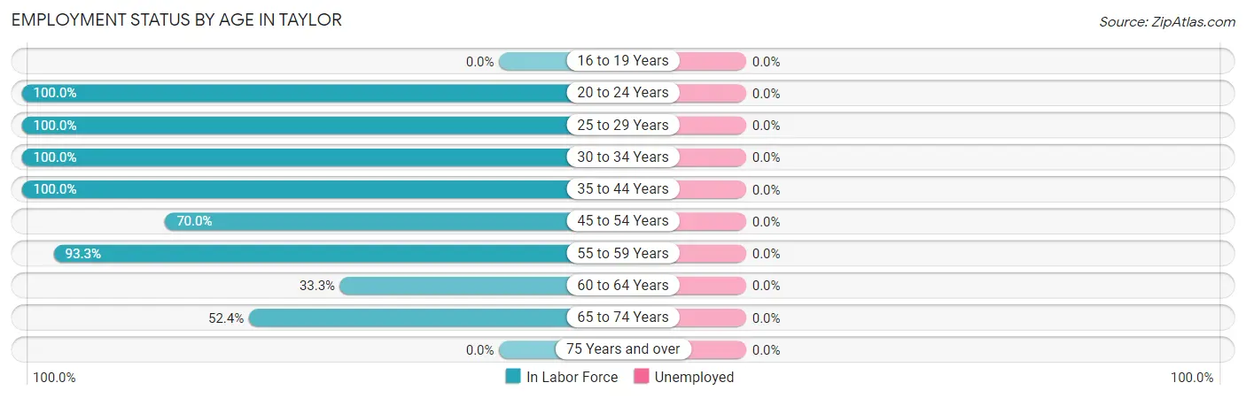 Employment Status by Age in Taylor