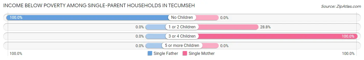 Income Below Poverty Among Single-Parent Households in Tecumseh