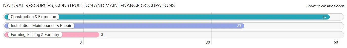 Natural Resources, Construction and Maintenance Occupations in Tekamah