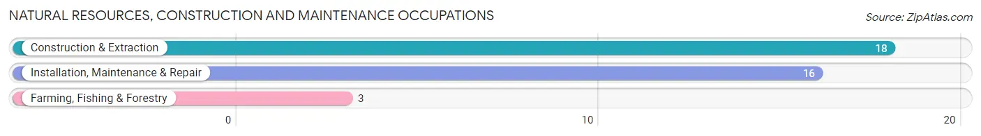 Natural Resources, Construction and Maintenance Occupations in Terrytown