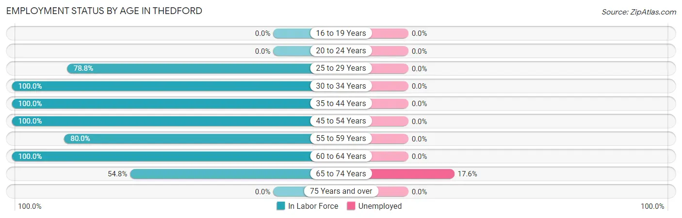 Employment Status by Age in Thedford