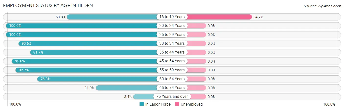 Employment Status by Age in Tilden