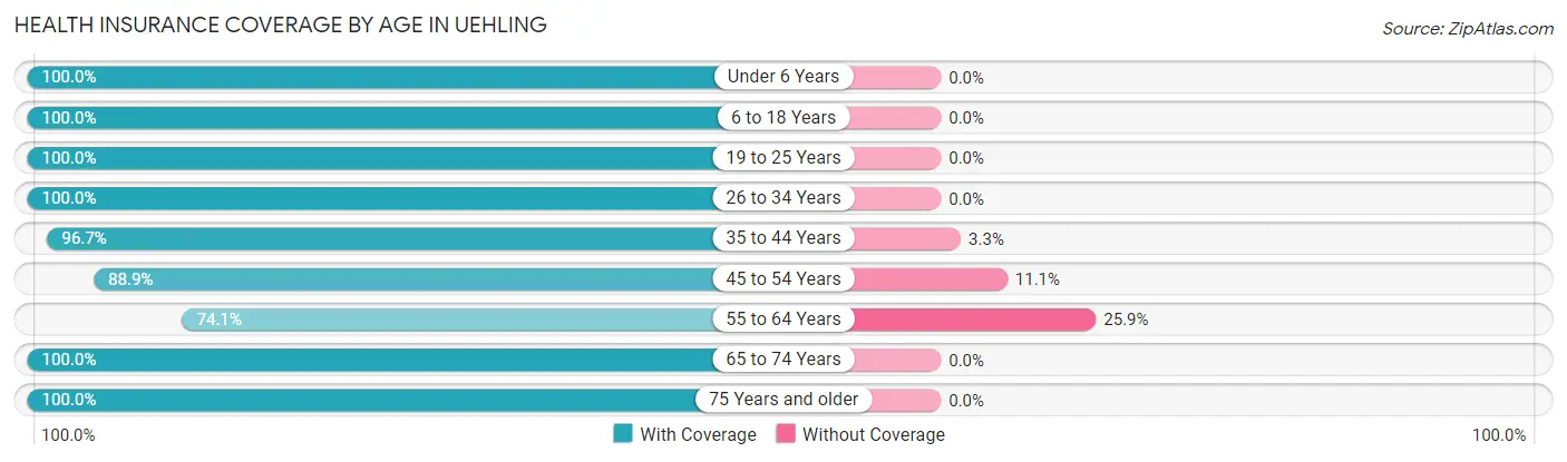 Health Insurance Coverage by Age in Uehling