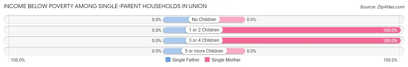 Income Below Poverty Among Single-Parent Households in Union