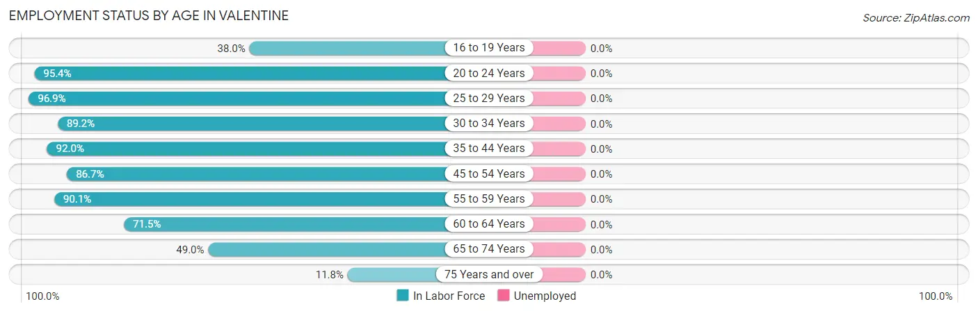 Employment Status by Age in Valentine