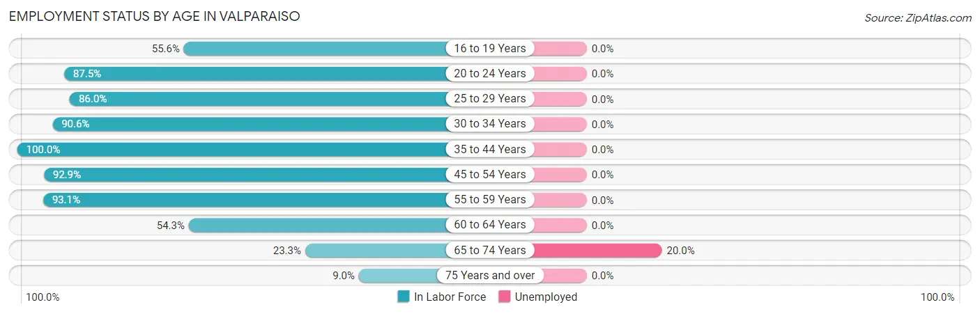 Employment Status by Age in Valparaiso