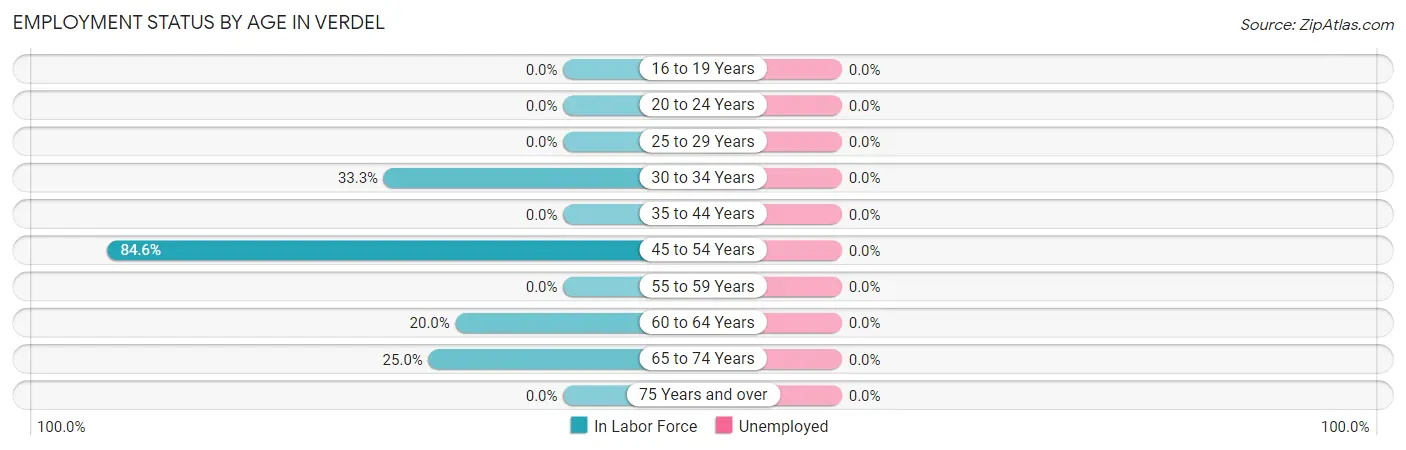 Employment Status by Age in Verdel