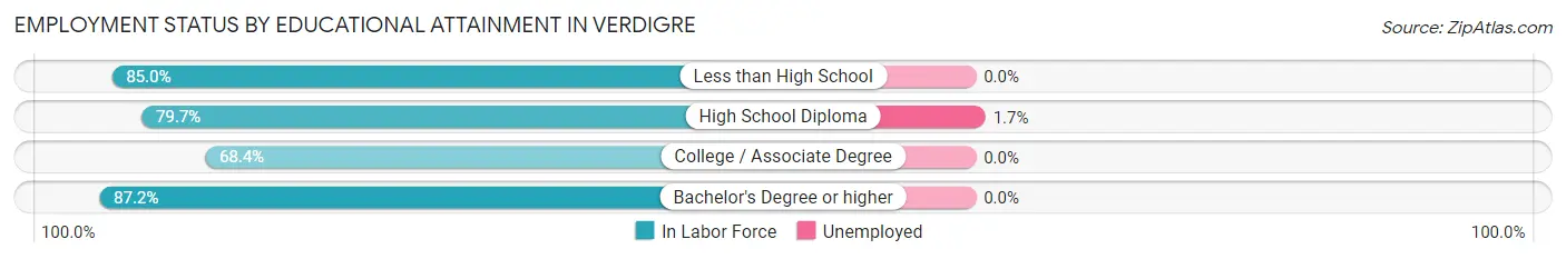 Employment Status by Educational Attainment in Verdigre