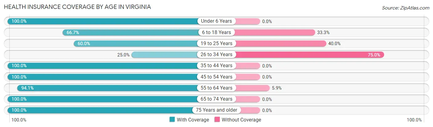 Health Insurance Coverage by Age in Virginia