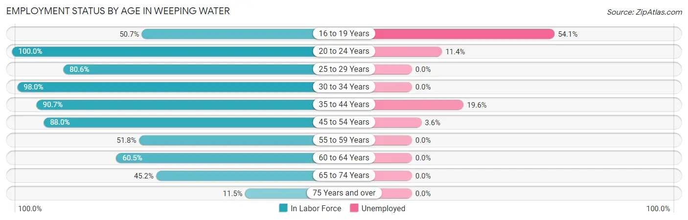 Employment Status by Age in Weeping Water