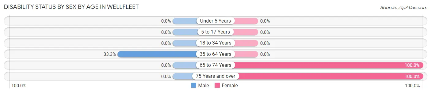 Disability Status by Sex by Age in Wellfleet