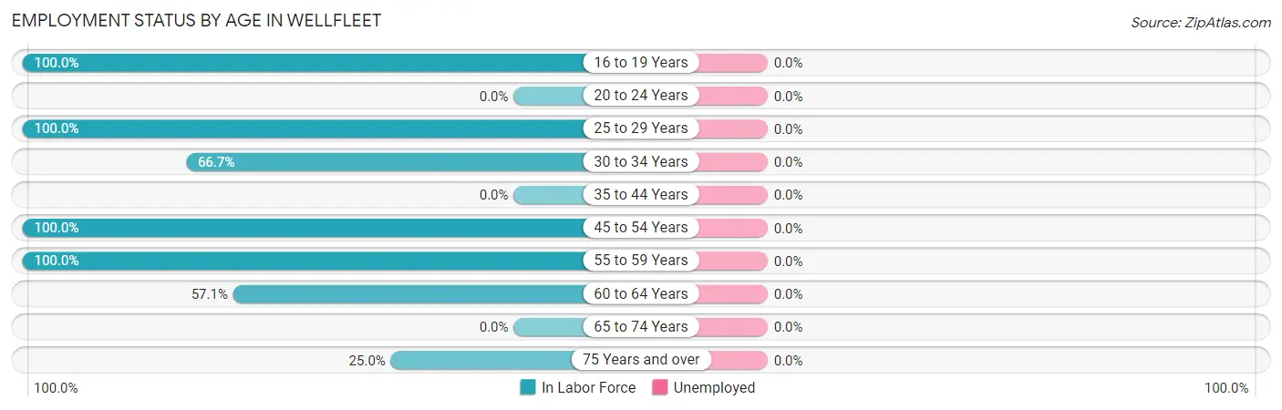 Employment Status by Age in Wellfleet