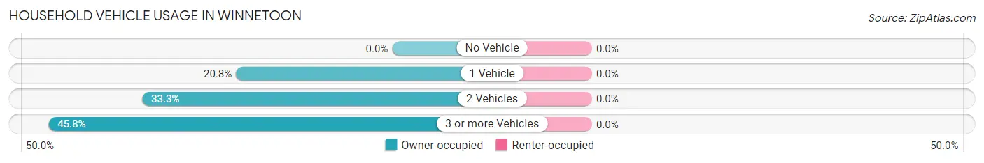 Household Vehicle Usage in Winnetoon