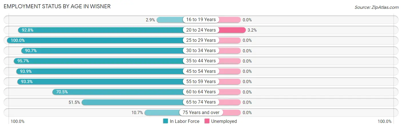 Employment Status by Age in Wisner