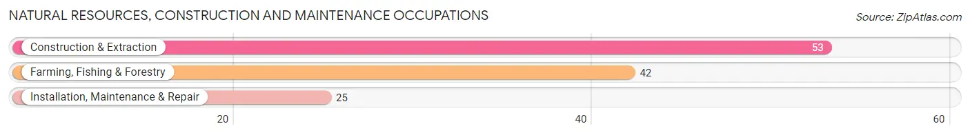 Natural Resources, Construction and Maintenance Occupations in Wisner