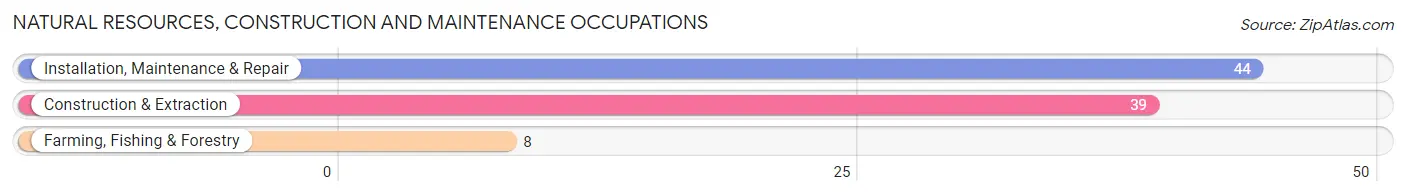 Natural Resources, Construction and Maintenance Occupations in Wood River