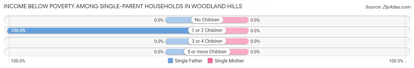 Income Below Poverty Among Single-Parent Households in Woodland Hills