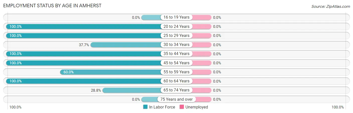 Employment Status by Age in Amherst