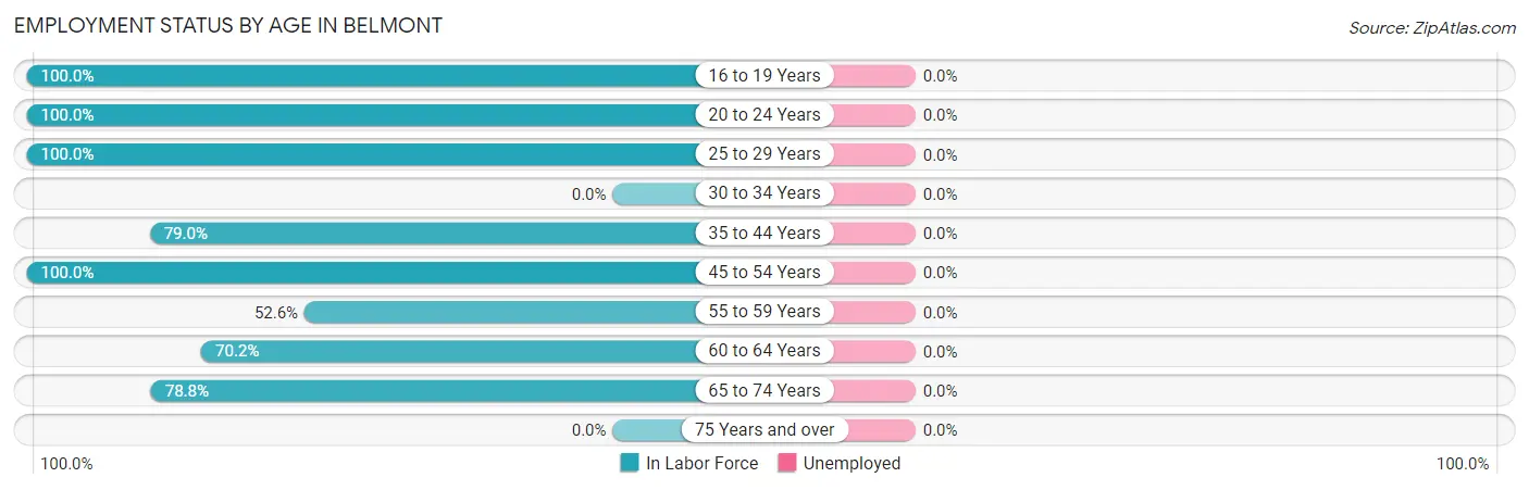 Employment Status by Age in Belmont