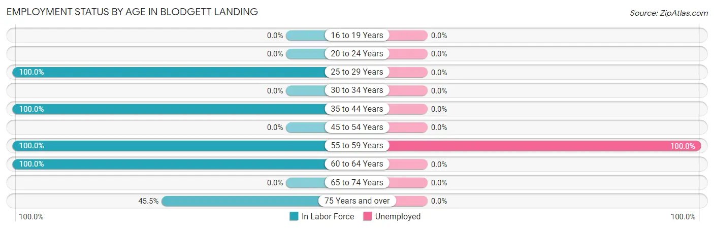 Employment Status by Age in Blodgett Landing