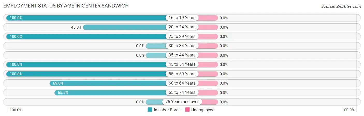 Employment Status by Age in Center Sandwich