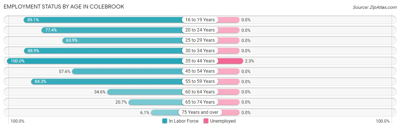 Employment Status by Age in Colebrook