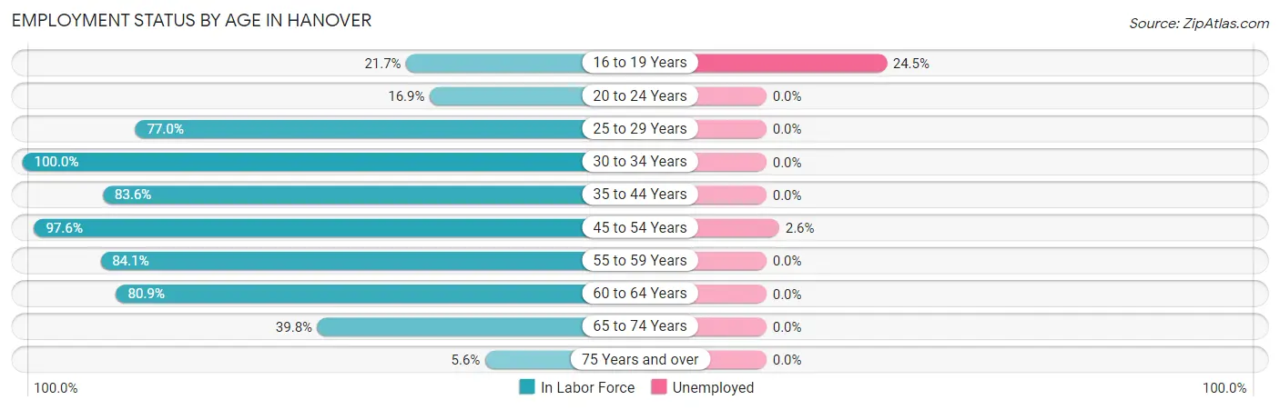 Employment Status by Age in Hanover