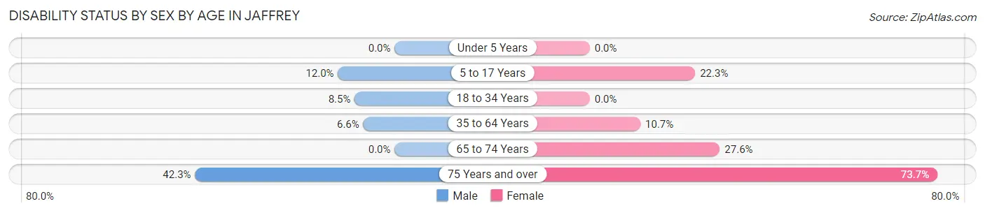 Disability Status by Sex by Age in Jaffrey