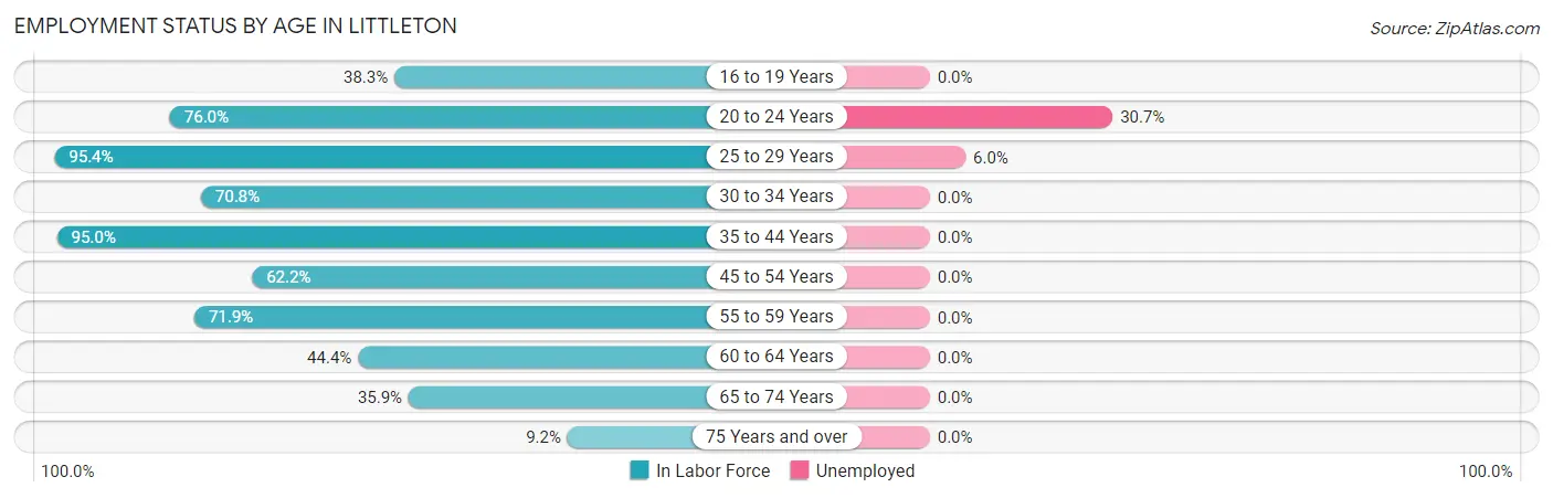 Employment Status by Age in Littleton