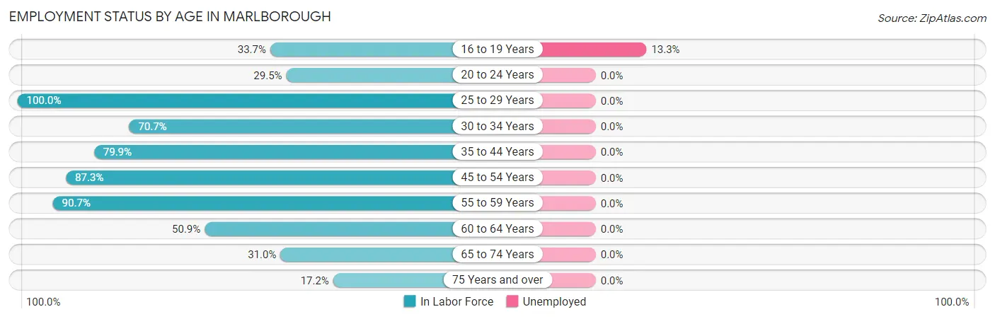 Employment Status by Age in Marlborough
