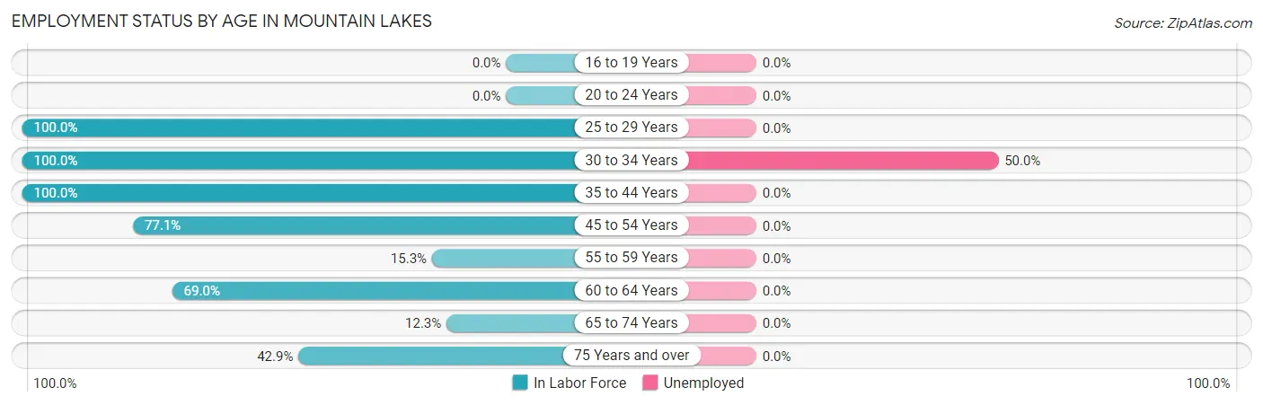 Employment Status by Age in Mountain Lakes