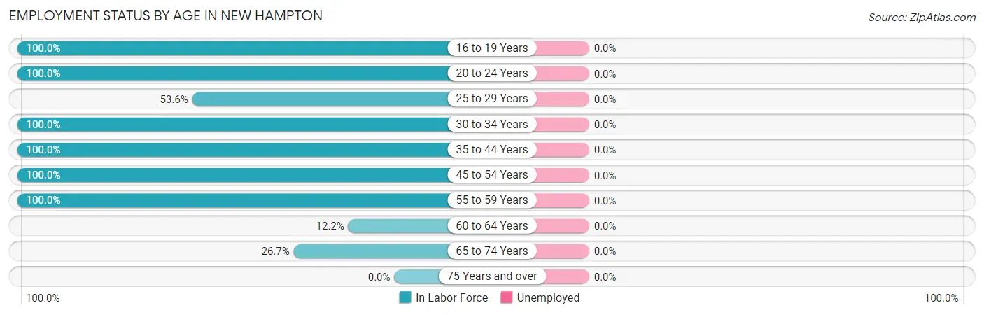 Employment Status by Age in New Hampton
