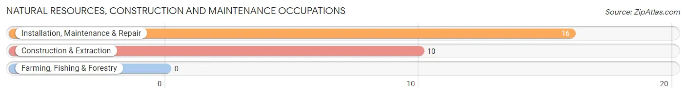 Natural Resources, Construction and Maintenance Occupations in New London