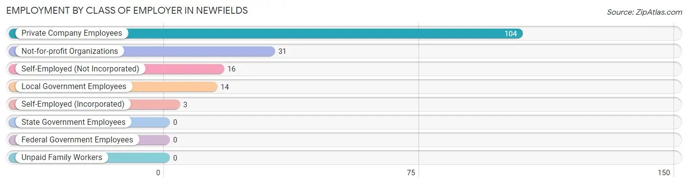 Employment by Class of Employer in Newfields