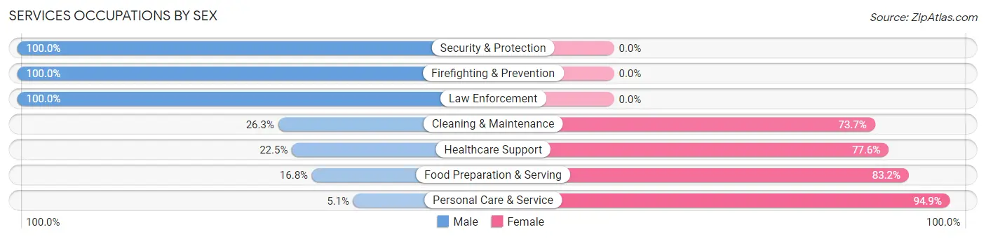 Services Occupations by Sex in South Hooksett